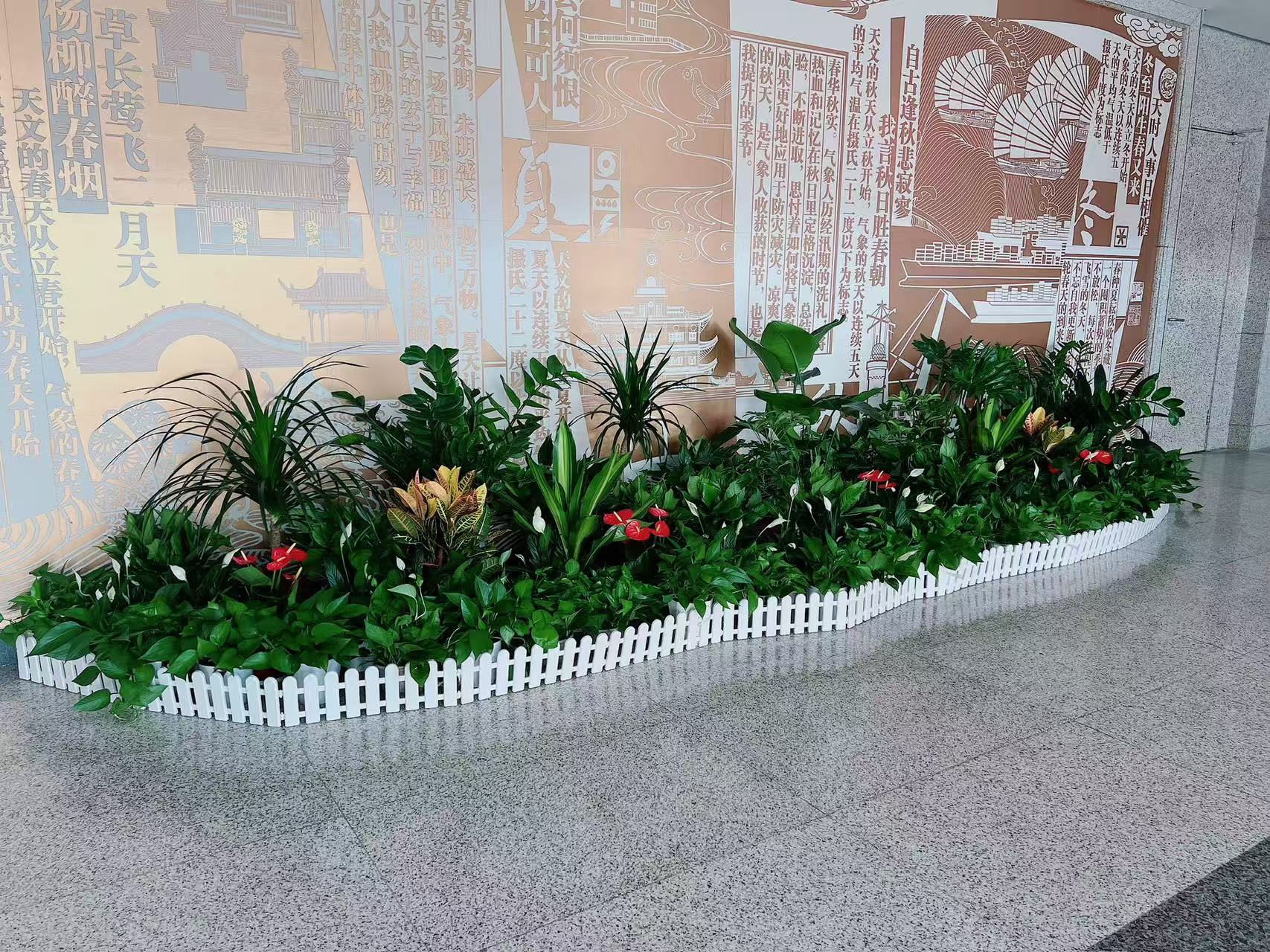 宁波杭州湾盆景出租公司 宁波杭州湾盆景出租公司